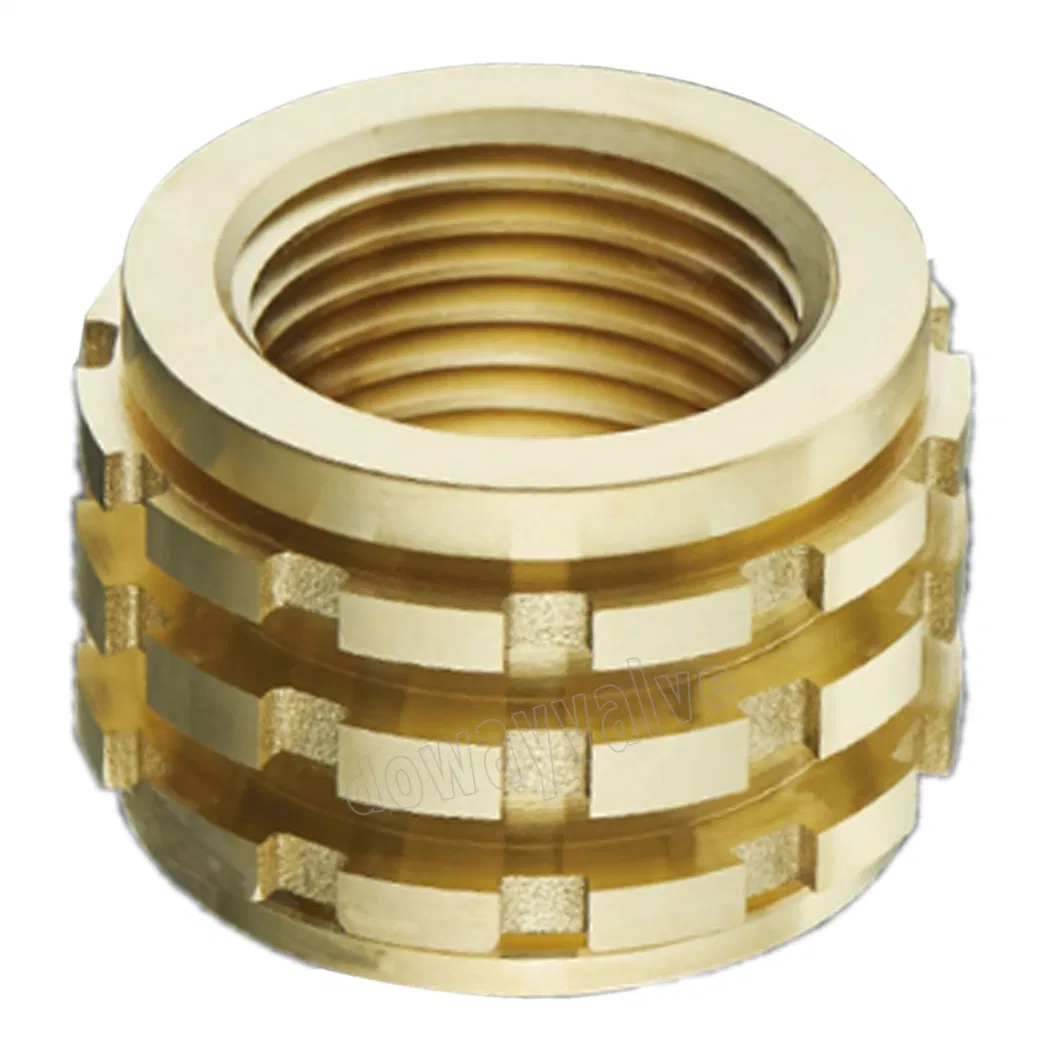 Brass Female PPR Valve Insert Fitting