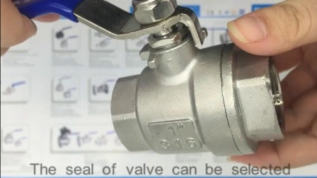 Промышленный/санитарный полнопроходной плавающий обратный клапан с резьбой NPT/BSPT/Bsp из нержавеющей стали CF8/CF8m DN15/фильтр/шаровой клапан/шаровой клапан